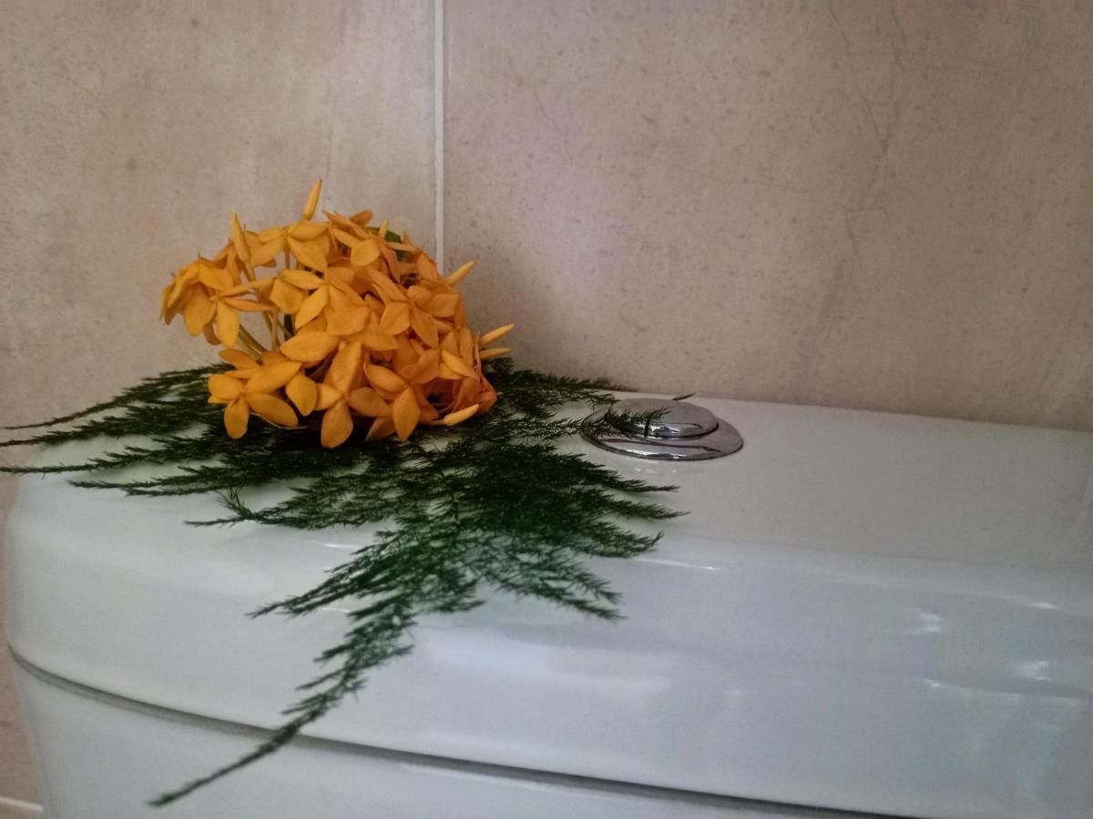 Apartamento Badamier Self-catering